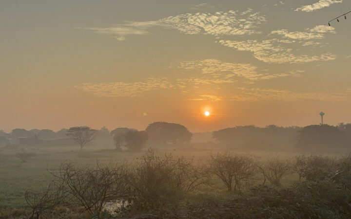 อ่างทอง – ความสวยงามของแสงยามเช้าส่งท้ายปีเก่า2568 ที่กลางทุ่งนา ตำบลย่านซื่อ มีหมอกลงปกคลุมขาวโผลนไปทั่ว เป็นความสวยงามยามเช้า ท่ามกลางพระอาทิตย์ที่กำลังส่องแสง