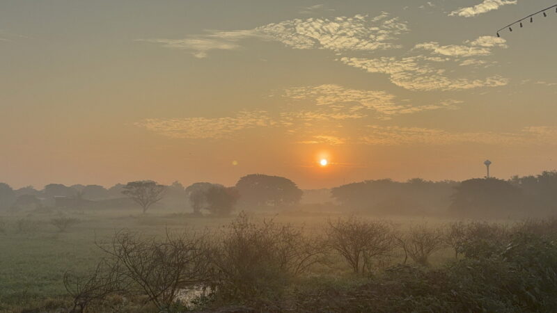 อ่างทอง – ความสวยงามของแสงยามเช้าส่งท้ายปีเก่า2568 ที่กลางทุ่งนา ตำบลย่านซื่อ มีหมอกลงปกคลุมขาวโผลนไปทั่ว เป็นความสวยงามยามเช้า ท่ามกลางพระอาทิตย์ที่กำลังส่องแสง