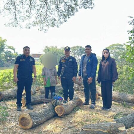 🚩 พยัคฆ์ไพร บุกจับผู้ลักลอบตัดไม้ริมลำแม่ลา อ้างใช้ทำเกษตรมานาน‼️