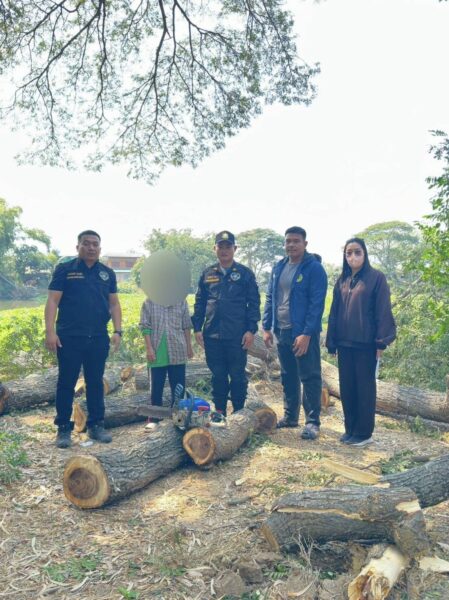 🚩 พยัคฆ์ไพร บุกจับผู้ลักลอบตัดไม้ริมลำแม่ลา อ้างใช้ทำเกษตรมานาน‼️