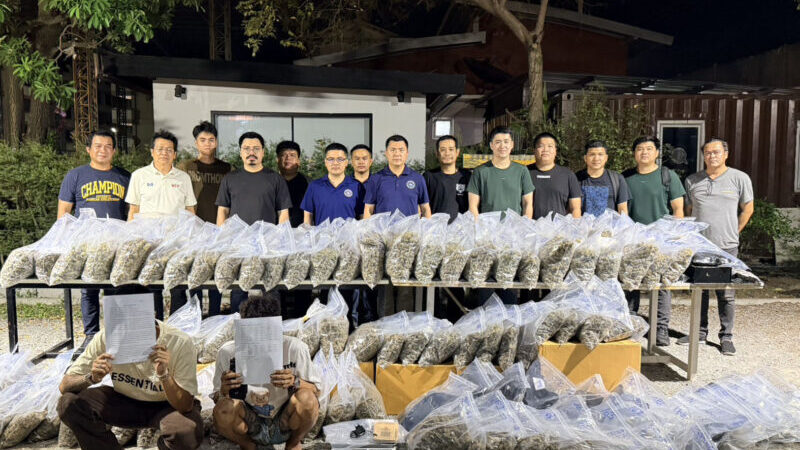 สืบภาค 1 ขยายผลจากผู้ต้องหาจนเจอจุดรับซื้อช่อดอกกัญชาที่ถูกปล้น