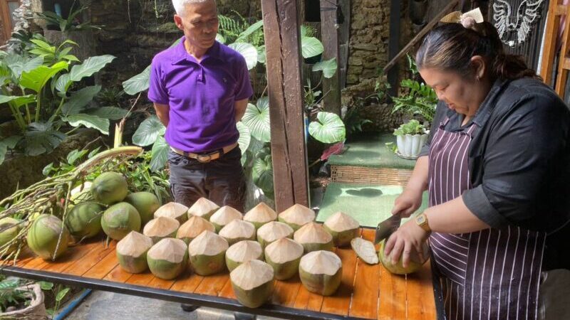 ร้านดังบางสะพานผุดไอเดียช่วยชาวสวน แจก “มะพร้าวน้ำหอมฟรี” ลูกค้าทานอาหารในร้าน หลังราคาหน้าสวนเหลือเพียงลูกละ 2 บาท