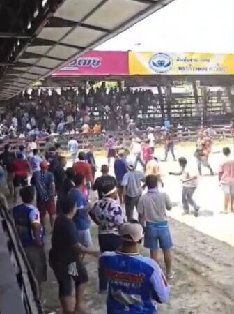 ระทึก! เพาเวอร์แบงก์ระเบิดกลางสนามวัวชนรัตภูมิ เซียนวัวแตกตื่นวิ่งหนีอลหม่าน