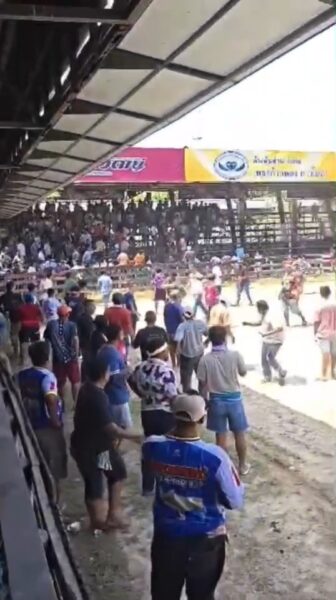 ระทึก! เพาเวอร์แบงก์ระเบิดกลางสนามวัวชนรัตภูมิ เซียนวัวแตกตื่นวิ่งหนีอลหม่าน