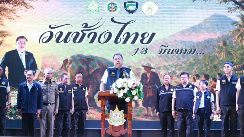 รองนายกฯ “สุชาติ” เปิดงานวันช้างไทย ปี 69 มอบเงินเยียวยาผู้ได้รับผลกระทบจากช้างป่า ชูนโยบาย Quick Win 5 ด้าน มุ่งแก้ปัญหาคนกับช้างป่าอย่างยั่งยืน