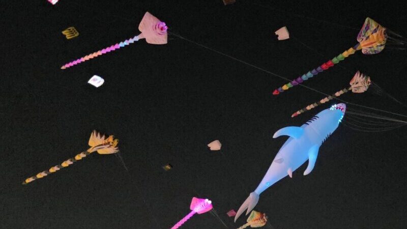 ปทุมธานี – ปชช.นับหมื่นแห่ชมว่าวยักษ์ LED เรืองแสงตระการตาเต็มท้องฟ้า