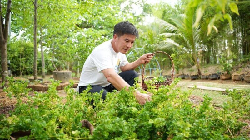 พังงา-ผู้ว่าสวมบทชาวสวน จุดพลังชาวบ้าน “ปลูกผัก-เลี้ยงสัตว์”น้อมนำเศรษฐกิจพอเพียง สร้างความมั่นคงทางอาหารฝ่าวิกฤติเศรษฐกิจ