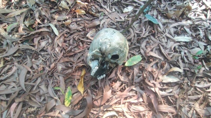 ปทุมธานี – คนซื้อที่ดินผงะเจอโครงกระดูกคนขณะเดินดูที่ดิน