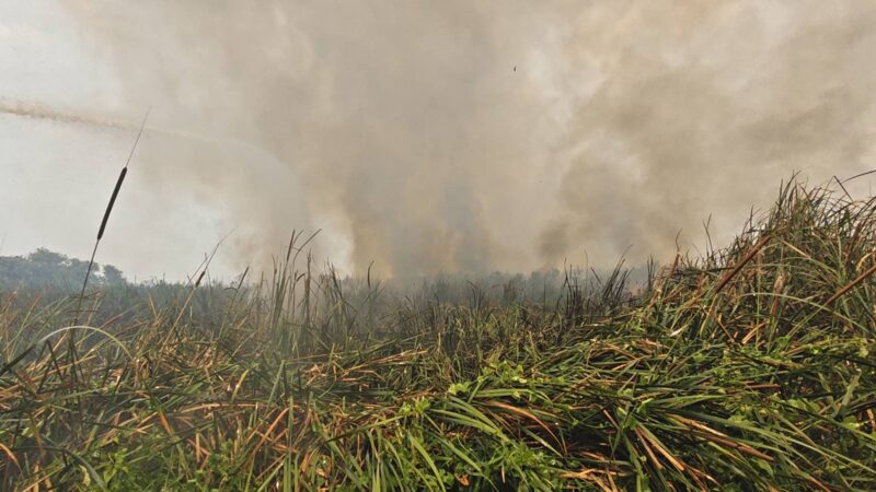 ปทุมธานี – ไฟไหม้ป่ากกนับร้อยไร่ ควันฟุ้งกระจายทำชาวบ้านผวาหนีออกจากบ้าน