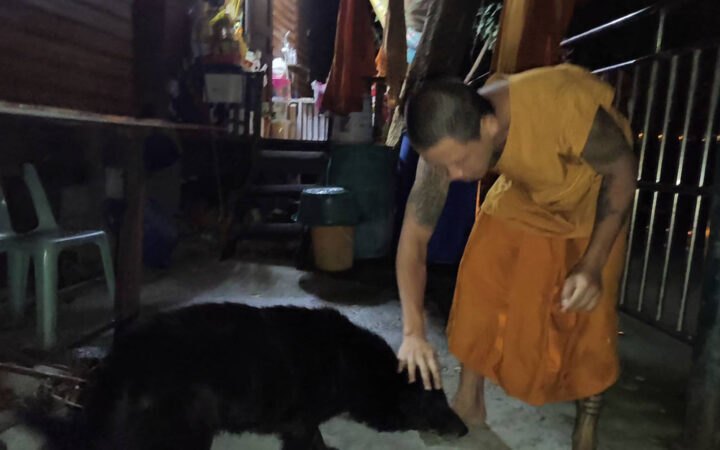 คุณพระช่วย! หลวงพี่ช่วยเจ้าตูบตาบอดลอยคออยู่ในน้ำ หลังพลาดตกคลองหลังวัด รอดตายหวุดหวิด