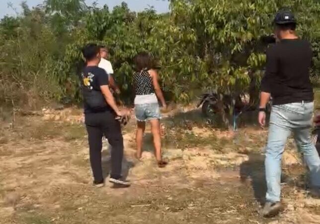 มุกดาหาร ตำรวจ รวบตัวหญิงอายุ 36 ขโมยลิ้นจี่ที่สวนแม่หม้ายวัย 58 ปี