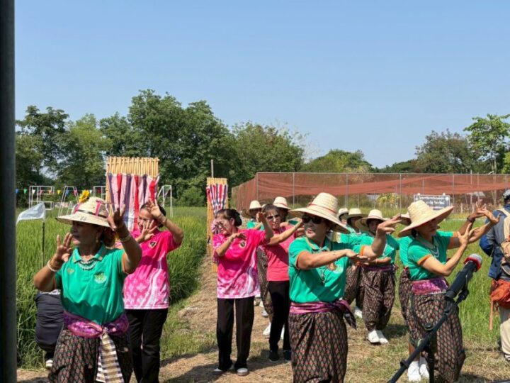 พิษณุโลก ม.นเรศวร สืบสานพิธีทำขวัญข้าว ถ่ายทอดภูมิปัญญาชาวนาตำบลท่าโพธิ์