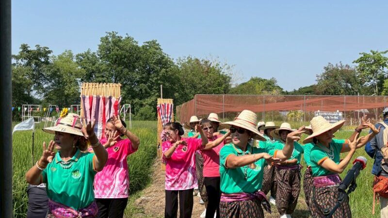 พิษณุโลก ม.นเรศวร สืบสานพิธีทำขวัญข้าว ถ่ายทอดภูมิปัญญาชาวนาตำบลท่าโพธิ์