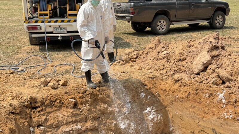 มุกดาหาร – ด่านกักกันสัตว์ ร่วมหน่วยงานความมั่นคงทำลายซากลูกไก่เพื่อป้องกันการแพร่ระบาด