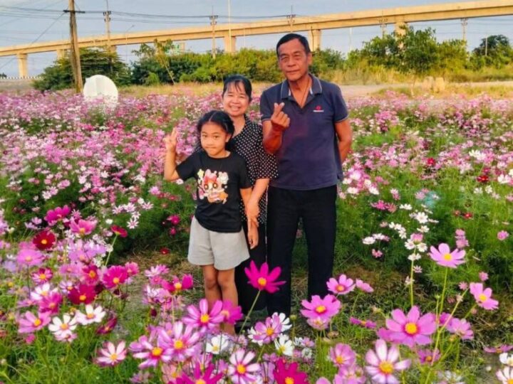 ลพบุรี – เทศบาลโพตลาดแก้ว “สร้างสวนสุขภาพหนองบัวยาว” เพื่อคนในชุมชน ส่งเสริมสร้างสุขให้กับคนในครอบครัว