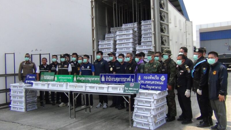 มุกดาหาร – ศุลกากร สกัดจับรถบรรทุกลูกไก่เถื่อนซุกกล่องภาษาเวียดนาม