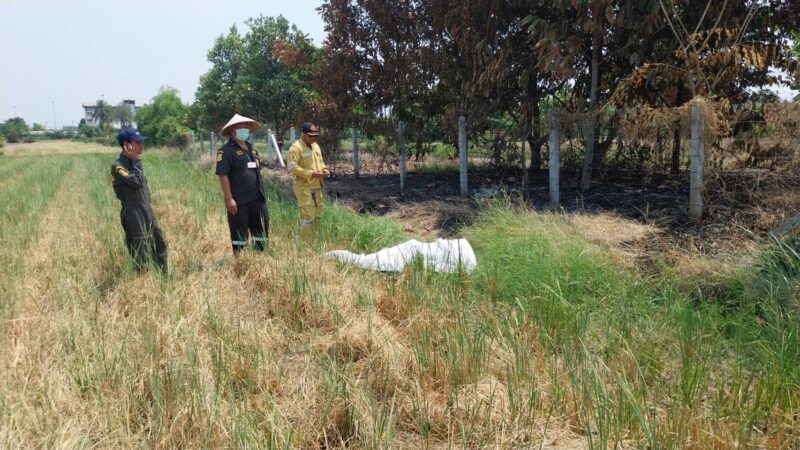 ปทุมธานี – สลดพบศพหญิงชราดับกลางทุ่งนาคาดมาช่วยดับไฟจนเป็นลมไม่มีใครเห็น