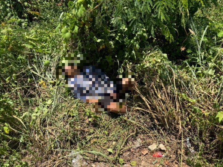 พบศพผู้เสียชีวิตนอนอยู่ริมคูข้างถนนเพชรเกษม ฝั่งล่องใต้ หมู่ 3 ตำบลสลุย อ.ท่าแซะ จ.ชุมพร