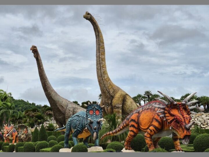 “เปิดเทอมนี้เที่ยวคุ้มทั้งบ้าน! สวนนงนุชพัทยา จัดใหญ่ ‘ซื้อ 1 แถม 1’ ตลอดพฤษภาคม ลดภาระครอบครัว เที่ยวได้ทั้งครอบครัวแบบสุดคุ้ม”