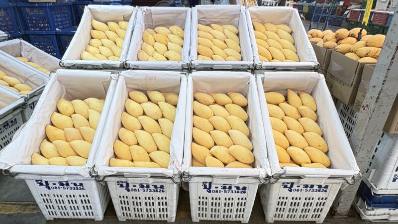 ปทุมธานี – ตลาดสี่มุมเมืองรวมที่สุดของ “มะม่วงไทย”
