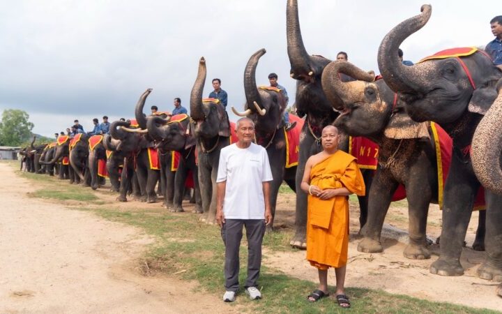 “สัญญาณแห่งความอุดมสมบูรณ์! สวนนงนุชพัทยาต้อนรับ ‘พังฟ้ารุ่ง’ ลูกช้างเชือกที่ 2 ใน 1 เดือน”