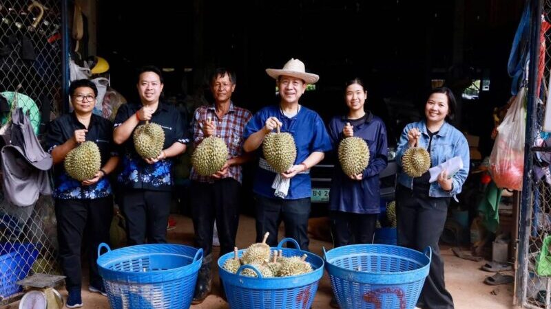 ลุยถึงสวน! ผู้ว่าฯ ชลบุรี จับมีดตัดทุเรียนบ่อทอง พร้อมให้กำลังใจพี่น้องเกษตรกรช่วงฤดูเก็บเกี่ยว