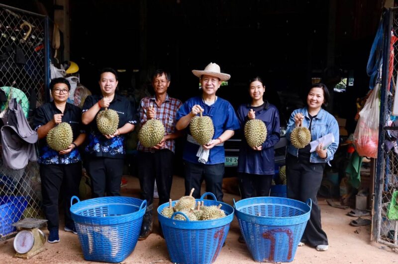 ลุยถึงสวน! ผู้ว่าฯ ชลบุรี จับมีดตัดทุเรียนบ่อทอง พร้อมให้กำลังใจพี่น้องเกษตรกรช่วงฤดูเก็บเกี่ยว