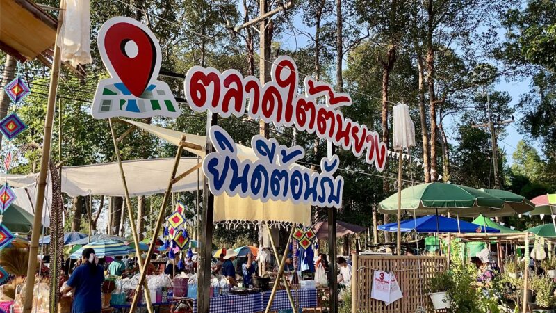 นครนายก – แม่ค้าขายผักผุดไอเดีย จัดผักเป็นเซ็ตด้วยวัสดุธรรมชาติ ยอดขายพุ่ง