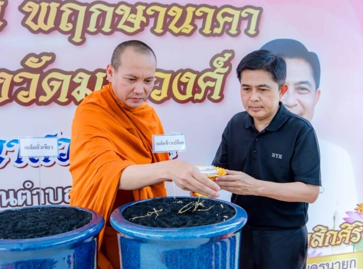 นครนายก – หลวงพี่ต่อ ปลูกข้าวและพันธุ์พืชพระราชทาน ที่สวน”พฤกษานาคา“
