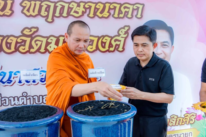 นครนายก – หลวงพี่ต่อ ปลูกข้าวและพันธุ์พืชพระราชทาน ที่สวน”พฤกษานาคา“