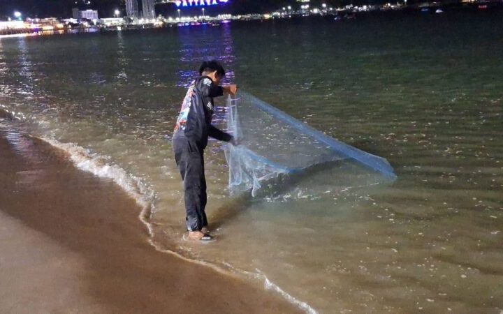 ยังพบลูกปลาหมอคางดำริมชายหาดพัทยา วอนเจ้าหน้าที่เร่งแก้ปัญหา