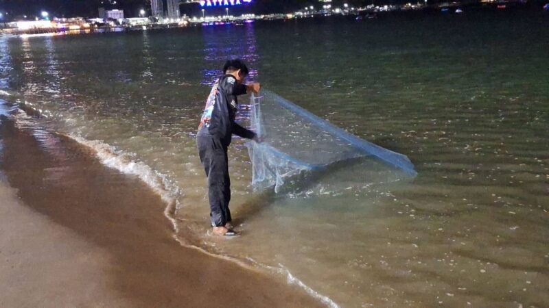 ยังพบลูกปลาหมอคางดำริมชายหาดพัทยา วอนเจ้าหน้าที่เร่งแก้ปัญหา