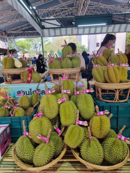 พิษณุโลกเปิดเทศกาลท่องเที่ยวเกษตรชุมชน “เที่ยว ชม ชิม ช้อป กิน นอน ทุเรียนหลง-หลินลับแลบ้านรักไทย” ต้อนรับคาราวานนักธุรกิจจีนกว่า 80 คน
