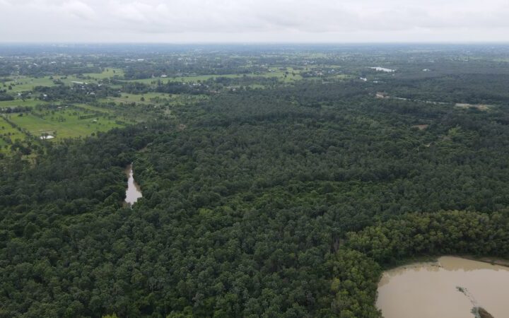 กรมป่าไม้ ชูแนวคิด “Community Forest Based Wellness” เนื่องในวันป่าชุมชนแห่งชาติ 24 พฤษภาคม เดินหน้าขับเคลื่อนป่าชุมชนกว่า 12,000 แห่ง สร้างสุข สร้างรายได้ สู่ความยั่งยืน