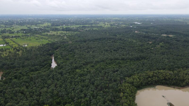 กรมป่าไม้ ชูแนวคิด “Community Forest Based Wellness” เนื่องในวันป่าชุมชนแห่งชาติ 24 พฤษภาคม เดินหน้าขับเคลื่อนป่าชุมชนกว่า 12,000 แห่ง สร้างสุข สร้างรายได้ สู่ความยั่งยืน