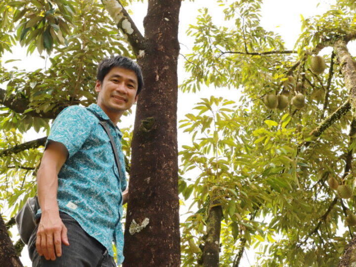 พังงา – สุดแปลก! ทุเรียนต้นเดียวออกผล 2 สายพันธุ์ ทั้งสาลิกา–หมอนทอง เจ้าของเผยภูมิปัญญาชาวบ้านปลูกมากว่า 15 ปี