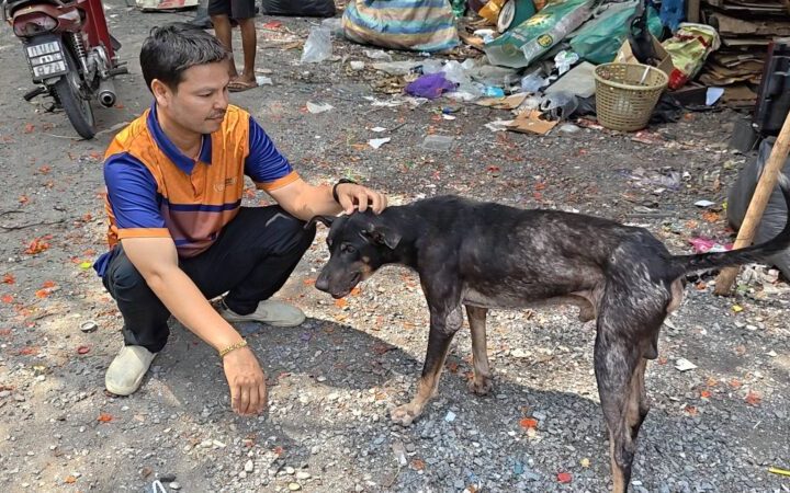 ปทุมธานีคืบหน้าฆ่าล้างบางหมาจรส.อบจ.คลองหลวงลุยป่าค้นหาซากสูญหายซัดคนทำจิตใจทำด้วยอะไร