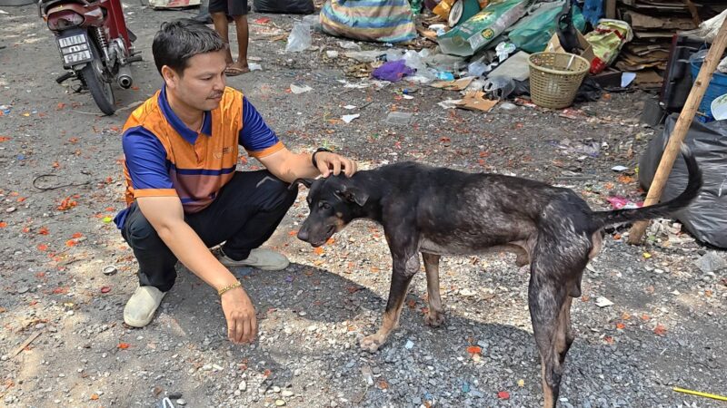 ปทุมธานีคืบหน้าฆ่าล้างบางหมาจรส.อบจ.คลองหลวงลุยป่าค้นหาซากสูญหายซัดคนทำจิตใจทำด้วยอะไร