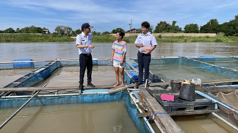 อ่างทอง – ประมงอ่างทองพบผู้เลี้ยงปลากระชังแจ้งข้อมูลและเฝ้าระวังผลกระทบจากการระบายน้ำท้ายเขื่อนเจ้าพระยา