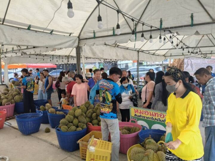 ลพบุรี – ทุเรียนลูกละ 1 บาทเรียกลูกค้าแน่นร้านสุกไม่ทันขาย ต้องจัดผลไม้อื่นมาเสริม