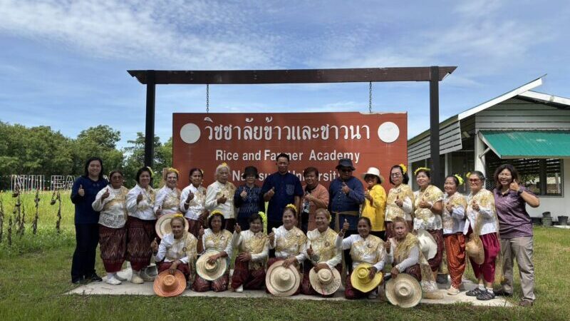 พิษณุโลก – ม.นเรศวร จัดกิจกรรมสืบสานประเพณีลงแขกเกี่ยวข้าวชาวเทา-แสด