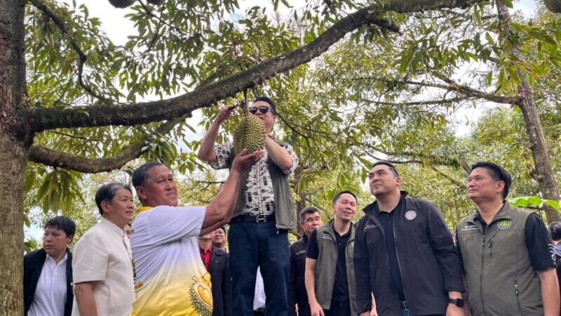 จ.จันทบุรี รมว.เกษตรฯ “สุริยะ” ลงพื้นที่จันทบุรี ตรวจเยี่ยมสวนทุเรียนต้นแบบ ชูมาตรฐานทุเรียน GAP ทำยอดส่งออกพุ่งทะลุ 5 หมื่นล้าน เติบโตขึ้นถึง 67%