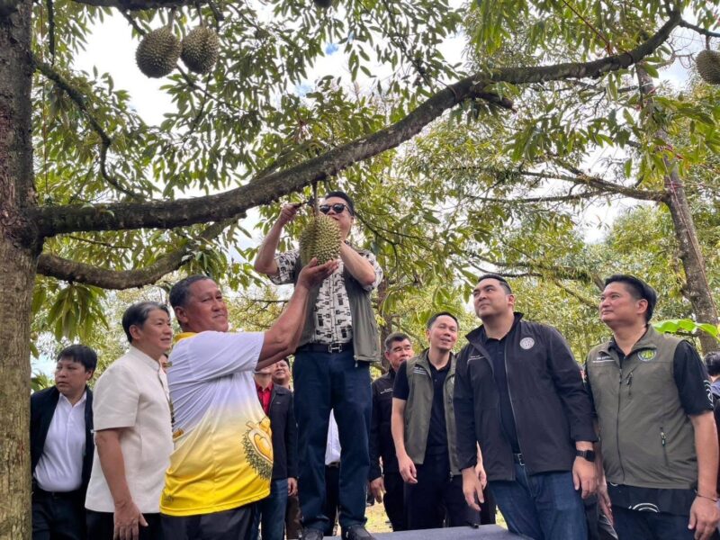 จ.จันทบุรี รมว.เกษตรฯ “สุริยะ” ลงพื้นที่จันทบุรี ตรวจเยี่ยมสวนทุเรียนต้นแบบ ชูมาตรฐานทุเรียน GAP ทำยอดส่งออกพุ่งทะลุ 5 หมื่นล้าน เติบโตขึ้นถึง 67%