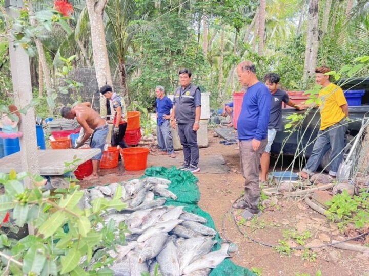 ด่วน! สส.ชุมพร นายวิชัย แถลงสภาฯ 2 วิกฤตหนัก “น้ำเสียทำปลาตายยกกระชัง-ภัยแล้งลาม 8 อำเภอ” จี้เยียวยาด่วน!