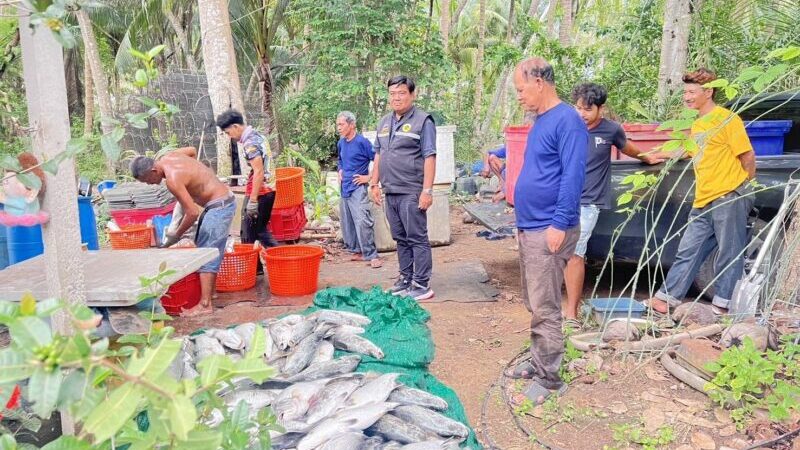 ด่วน! สส.ชุมพร นายวิชัย แถลงสภาฯ 2 วิกฤตหนัก “น้ำเสียทำปลาตายยกกระชัง-ภัยแล้งลาม 8 อำเภอ” จี้เยียวยาด่วน!