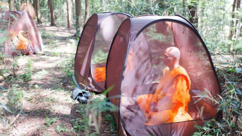 ปทุมธานี – ส่งเสริมสมาธิกลางธรรมชาติญี่ปุ่น เปิดพื้นที่ฝึกใจ ณ วัดป่าธรรมกายนานาชาติโทชิหงิ
