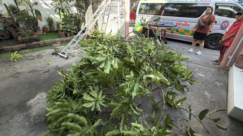 ไรเดอร์หนุ่มพิการทางการพูด ฮีโร่ช่วยเจ้าของบ้านเป็นลมติดค้างคาต้นไม้ หลังขึ้นตัดกิ่งไม้กลางแดดร้อน คาดฮีทสโตรก