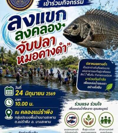 วิกฤตปลาหมอคางดำลุกลาม! ชาวประมงบางสะพานรวมพลังล่าปลาเอเลี่ยน ร้องรัฐเร่งแก้ก่อนสายเกินไป