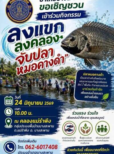 วิกฤตปลาหมอคางดำลุกลาม! ชาวประมงบางสะพานรวมพลังล่าปลาเอเลี่ยน ร้องรัฐเร่งแก้ก่อนสายเกินไป