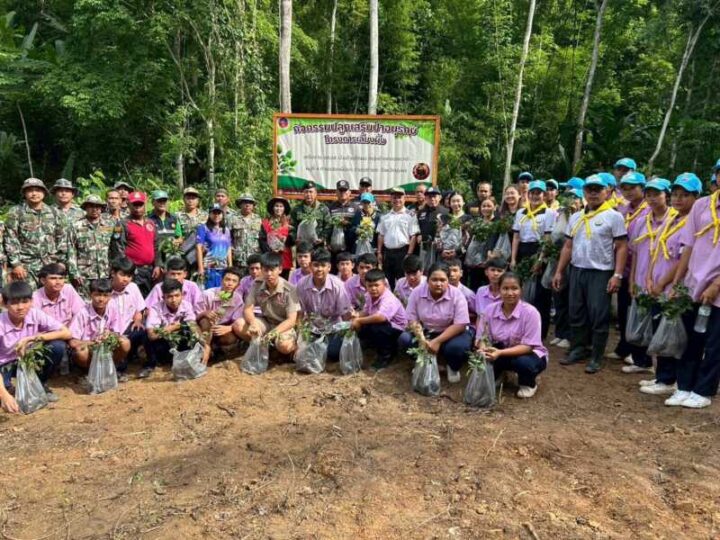 200 ชีวิต“บุกป่ากรมหลวงชุมพรฯ” ปลูกเสริมป่าต้นน้ำ-พลิกฟื้นความชุ่มชื้นแผ่นดิน